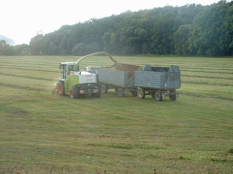 bilder/16_9_2002/jaguar_+_fendt_824_2.jpg