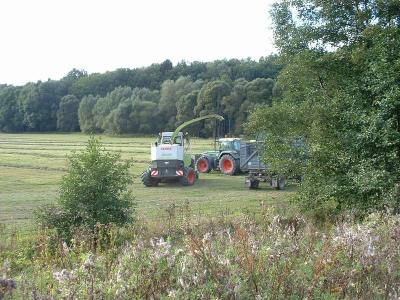 bilder/16_9_2002/jaguar_+_fendt_824_5.jpg