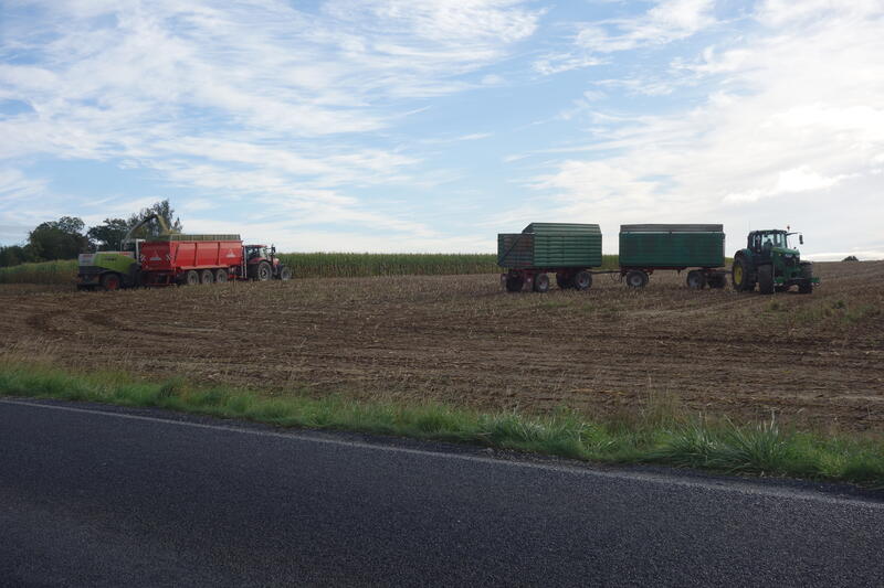 bilder/22_7_2013/CIMG8481.jpg