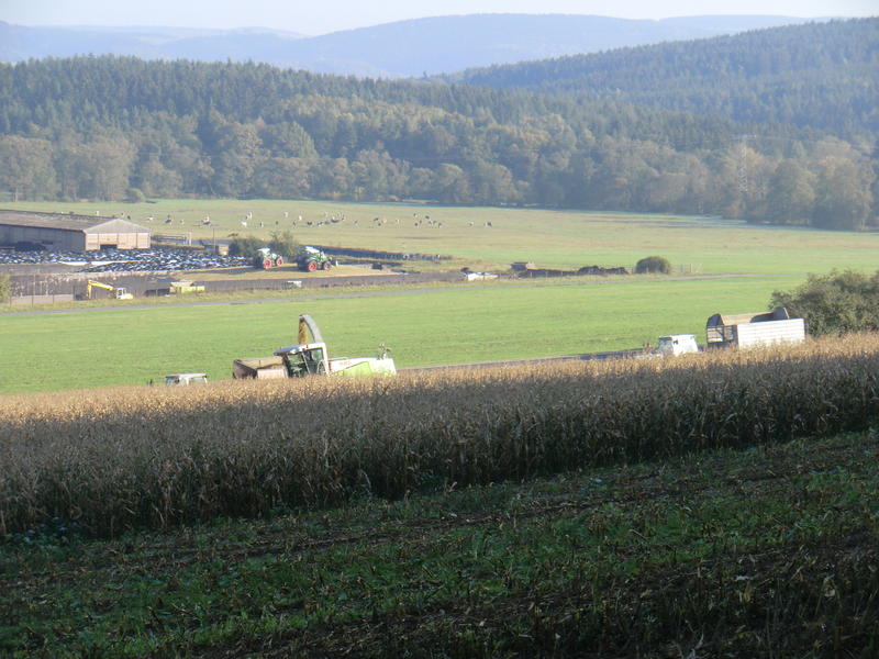 CIMG5497.jpg