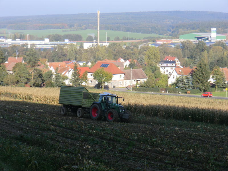 CIMG5503.jpg