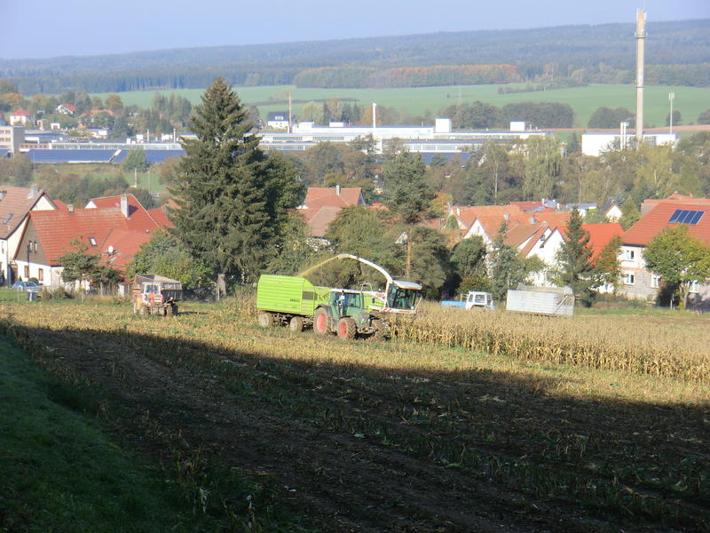 CIMG5516.jpg