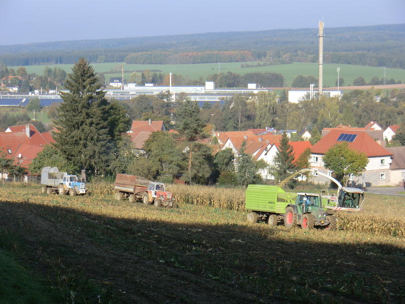 CIMG5517.jpg