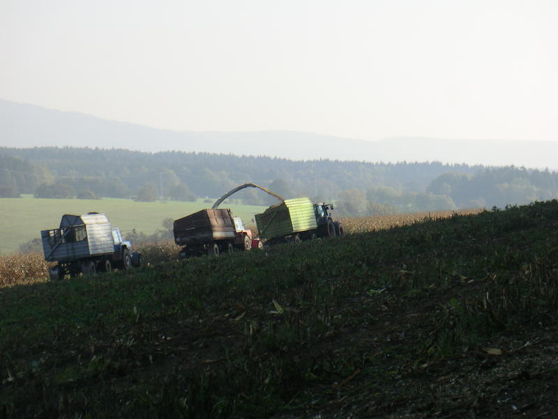 CIMG5521.jpg