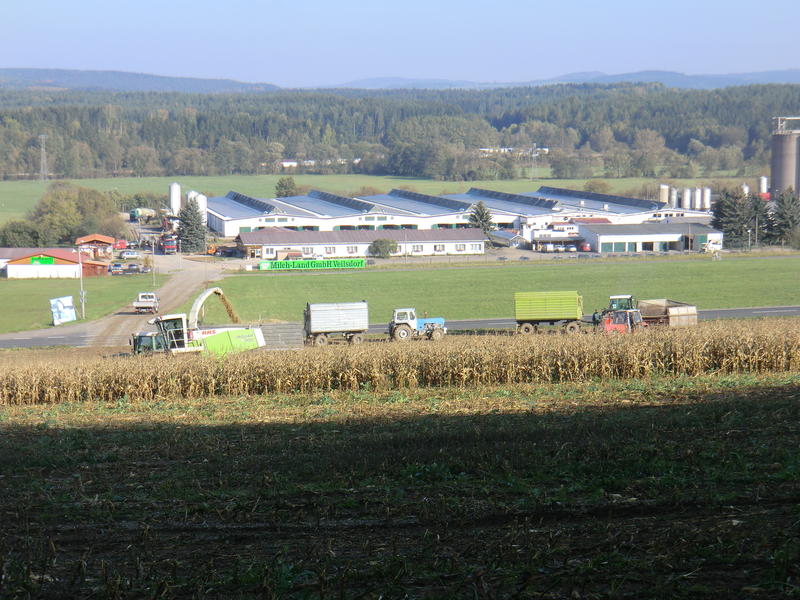 CIMG5534.jpg