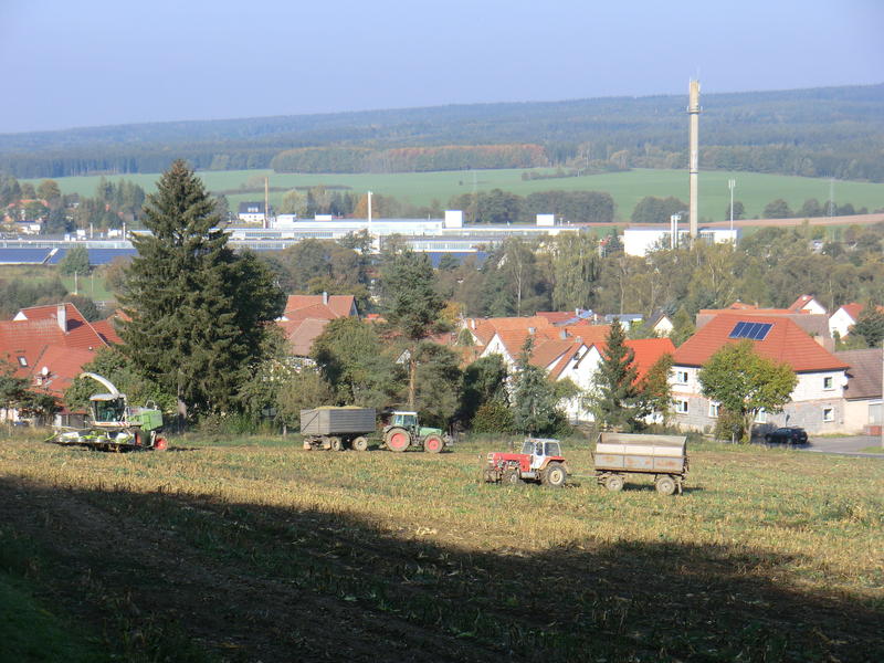 CIMG5536.jpg