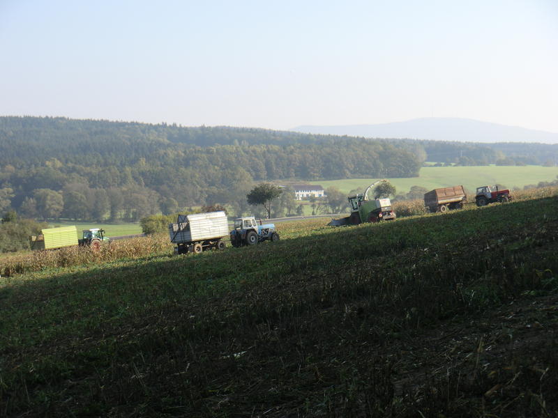 CIMG5541.jpg