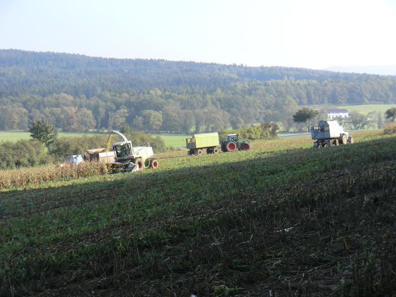 CIMG5542.jpg