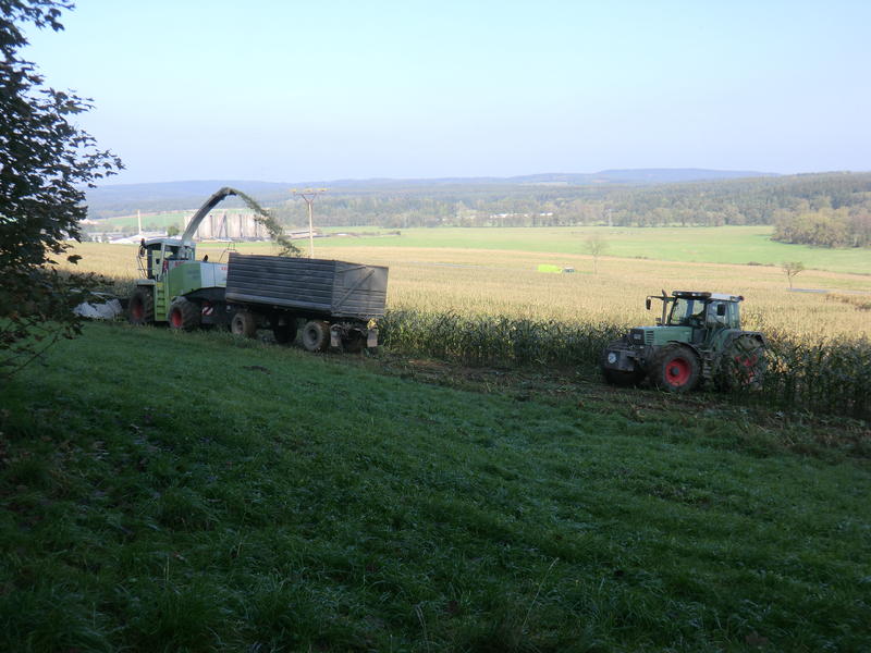 CIMG5564.jpg