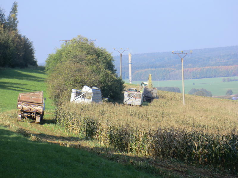 CIMG5568.jpg