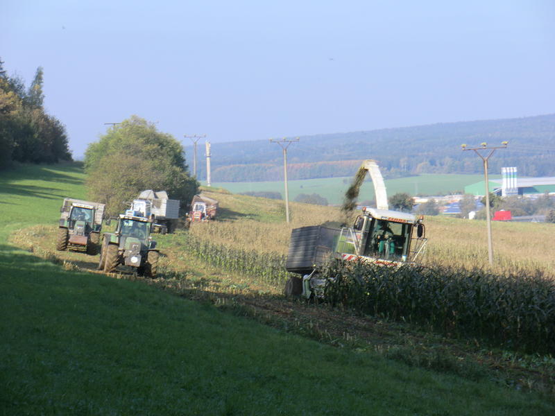 CIMG5572.jpg