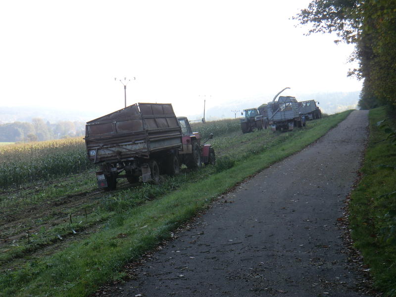 CIMG5576.jpg