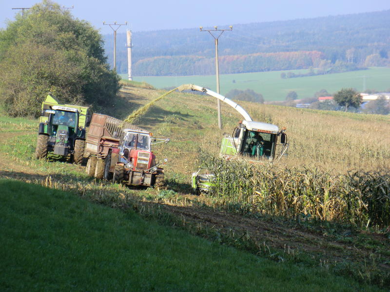 CIMG5581.jpg