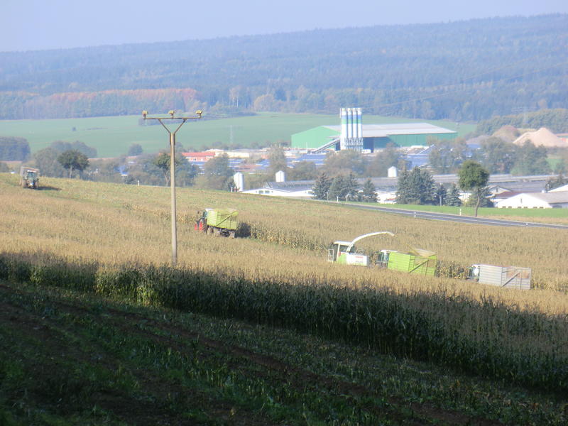 CIMG5591.jpg