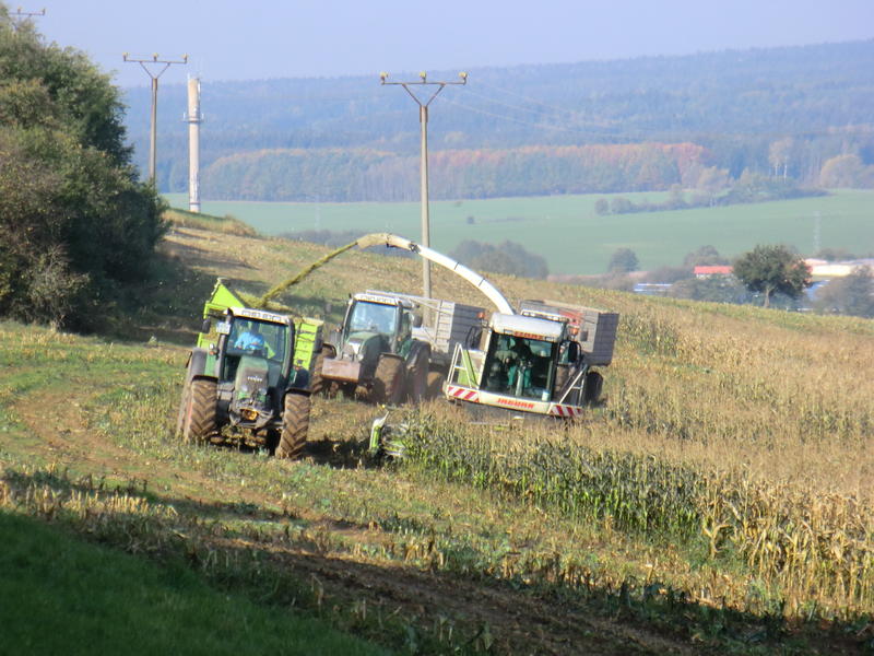 CIMG5593.jpg