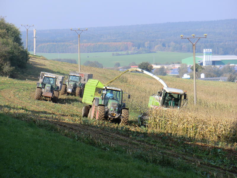 CIMG5594.jpg