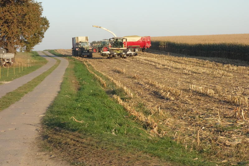 bilder/17_10_2017/DSC00791.jpg
