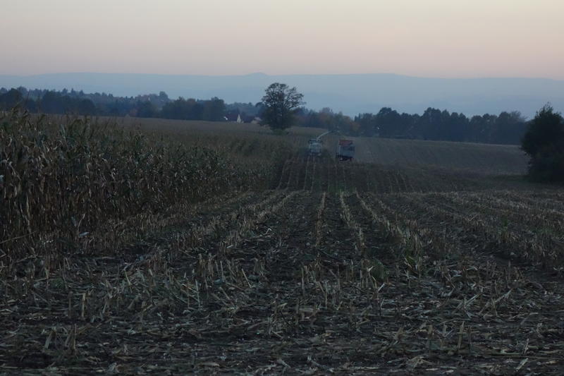 bilder/5_5_2013_3/CIMG7222.jpg