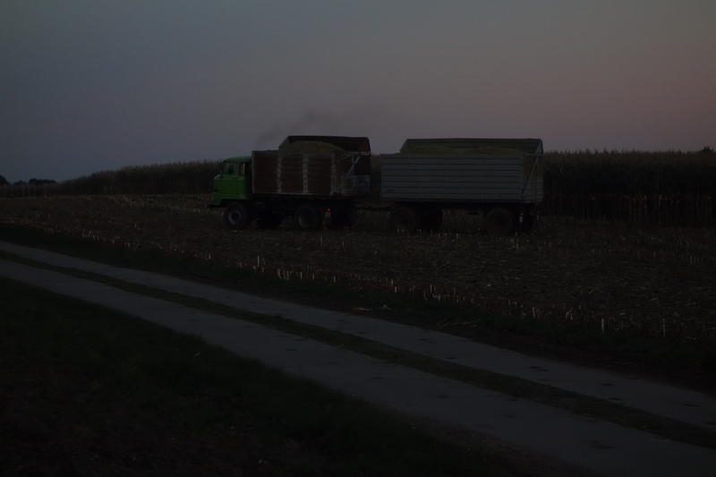 DSC00803.jpg