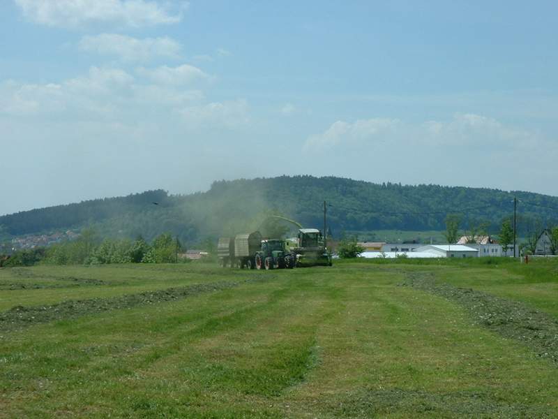 bilder/17_5_2002/jaguar_900_+_fendt_514_2.jpg