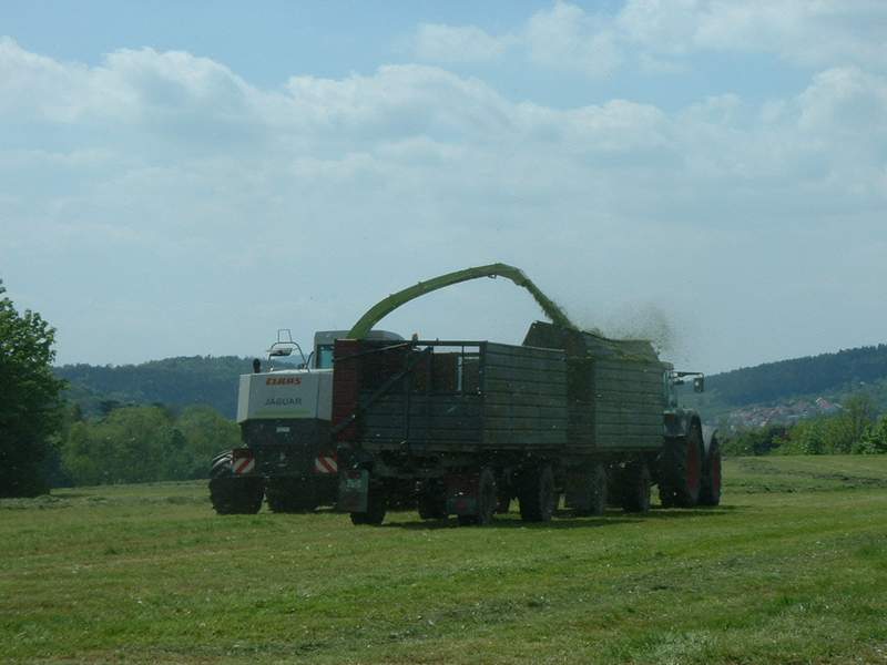 jaguar_900_+_fendt_514_5.jpg