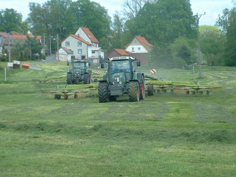 bilder/31_7_2014/CIMG7411.jpg