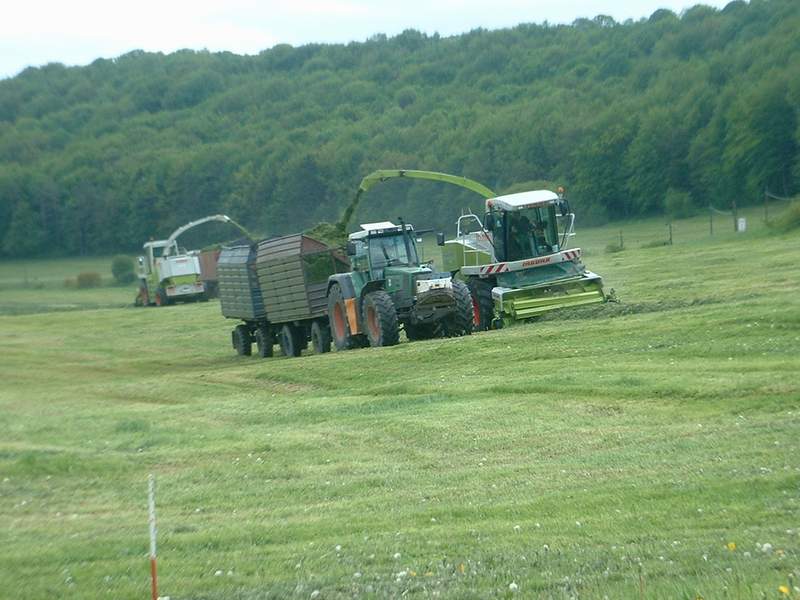 2x_jaguar_2x_fendt.jpg