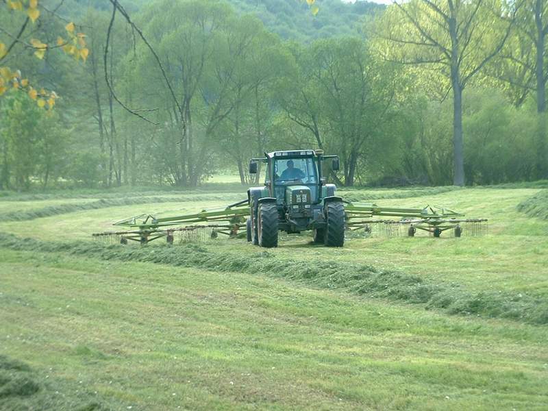 fendt_4.jpg