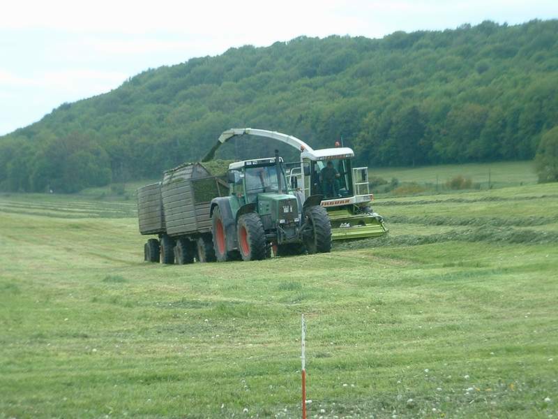 bilder/17_5_2004/jaguar_fendt.jpg
