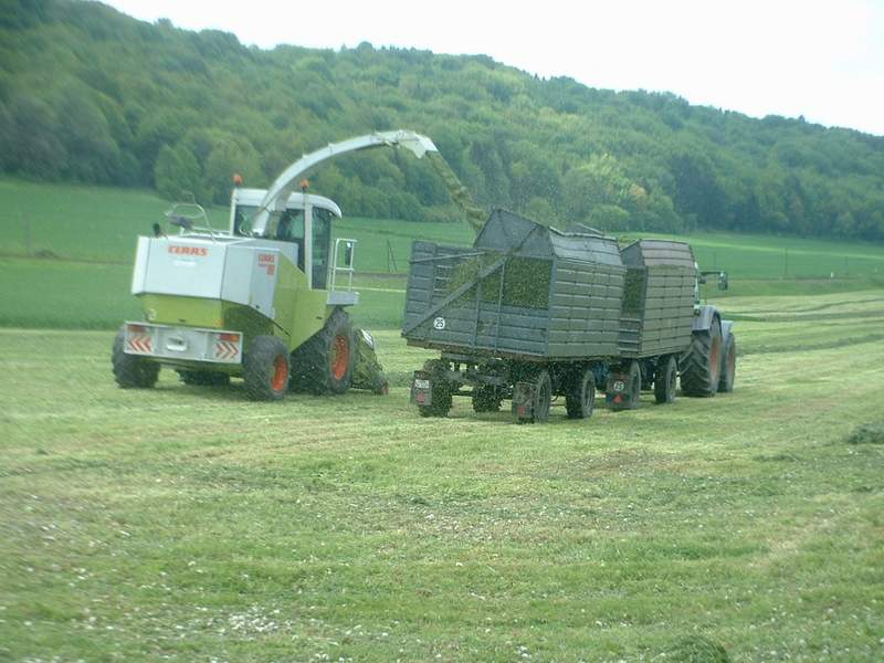 bilder/17_5_2004/jaguar_fendt_16.jpg