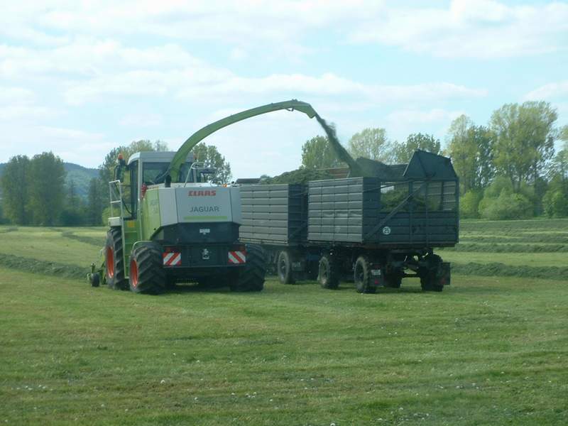 jaguar_fendt_17.jpg