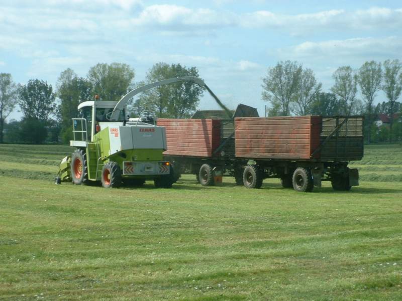 jaguar_fendt_18.jpg