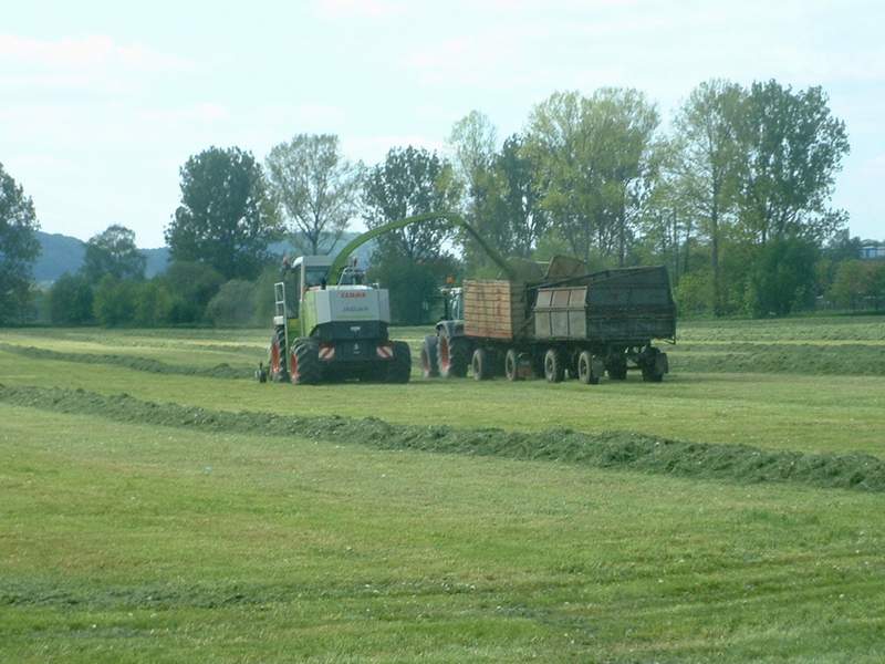 bilder/17_5_2004/jaguar_fendt_20.jpg