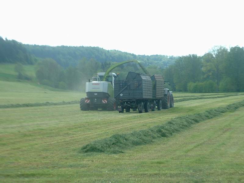 bilder/17_5_2004/jaguar_fendt_21.jpg