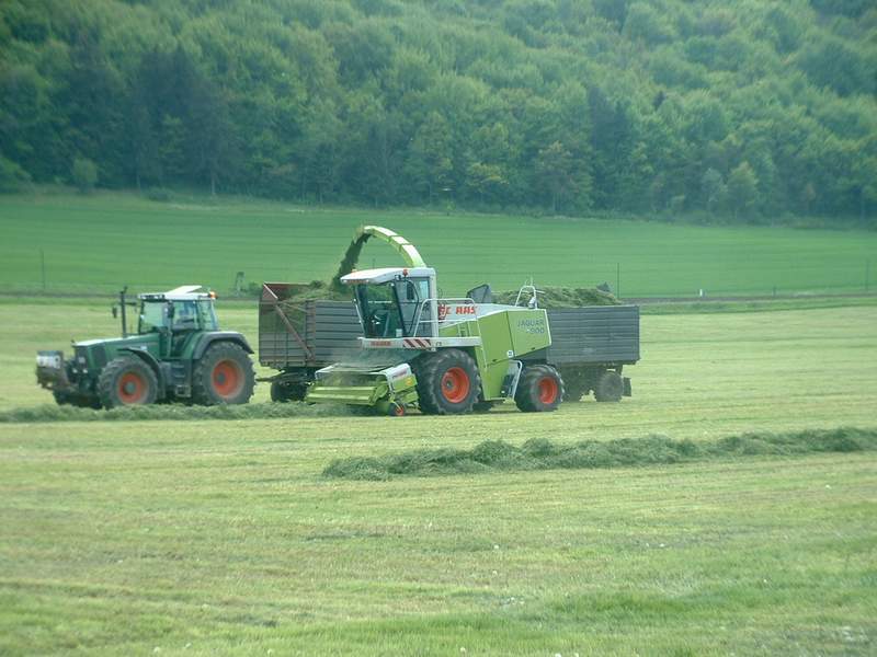 jaguar_fendt_22.jpg