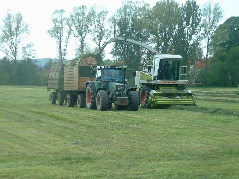 bilder/17_5_2004/jaguar_fendt_24.jpg