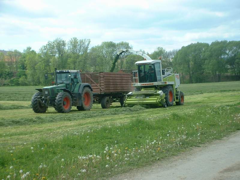 jaguar_fendt_28.jpg