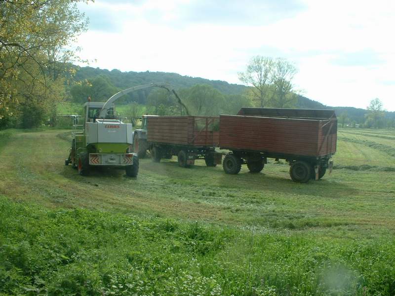 jaguar_fendt_29.jpg