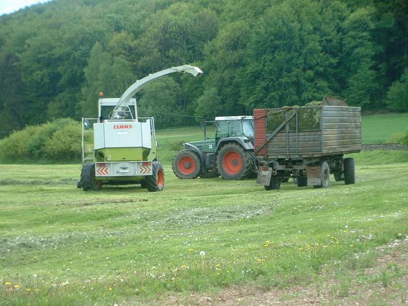 bilder/17_5_2004/jaguar_fendt_3.jpg