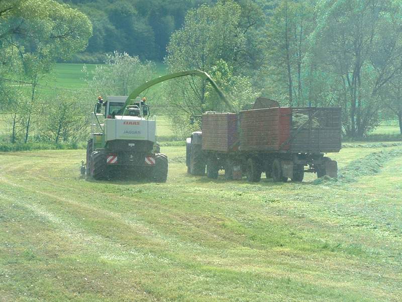 jaguar_fendt_31.jpg