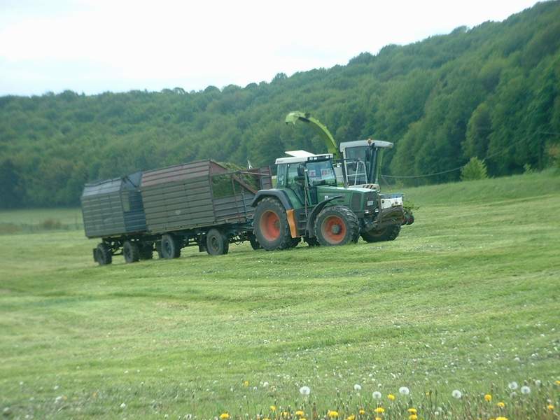 jaguar_fendt_5.jpg