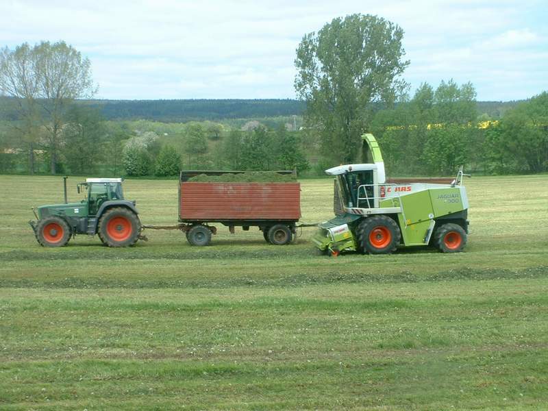 bilder/17_5_2004/jaguar_fendt_7.jpg