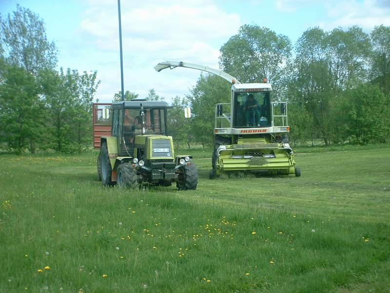 bilder/30_7_2017_2/DSC09244.jpg