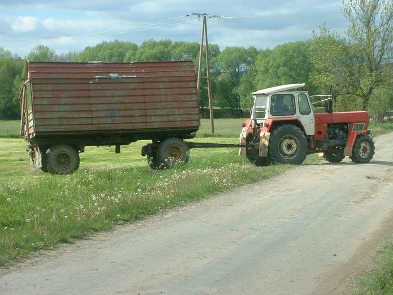 bilder/17_5_2004/zt_303_3.jpg