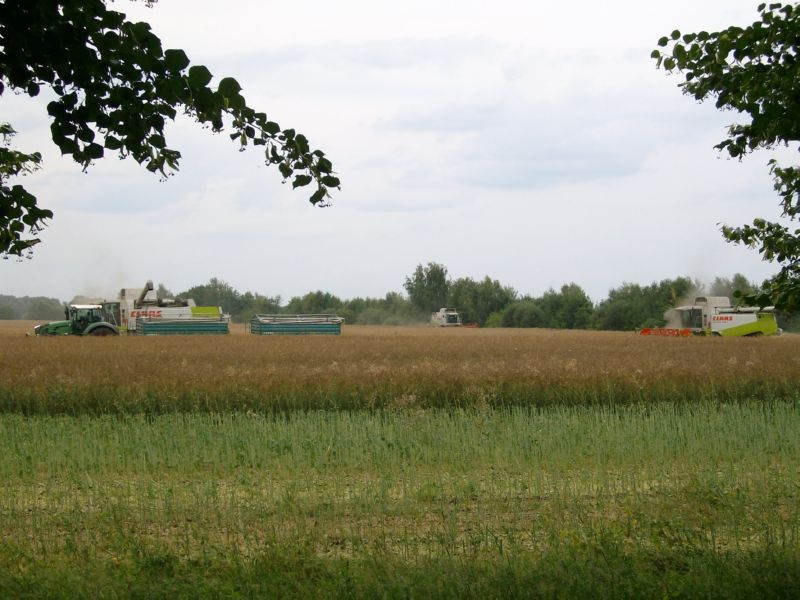IMGP6982.jpg