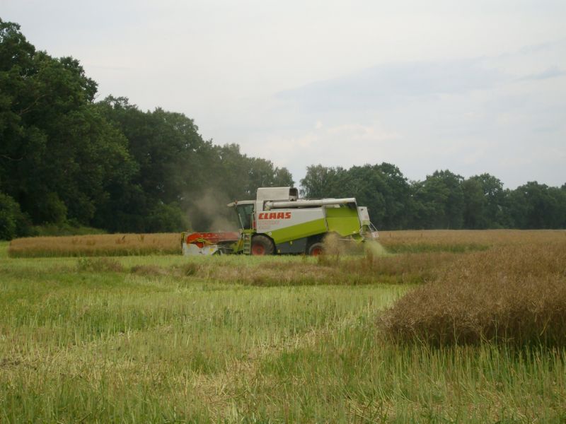 IMGP6984.jpg