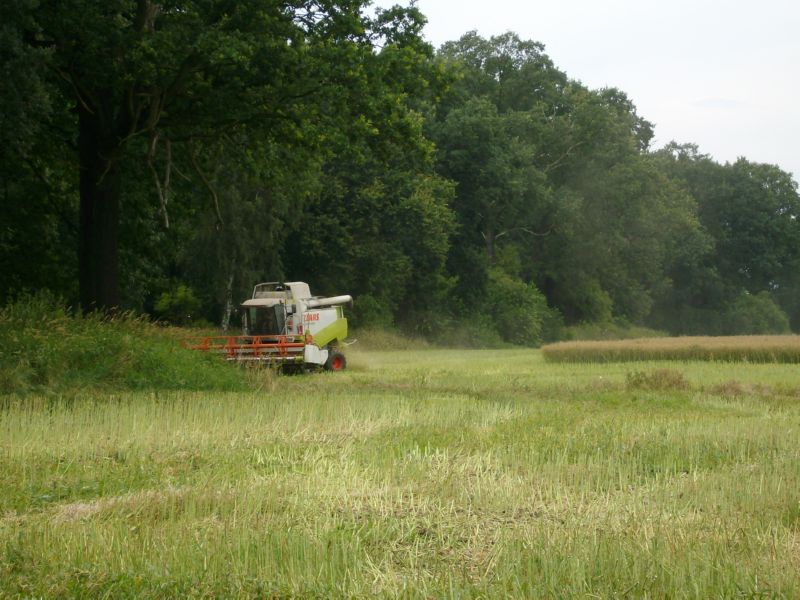 IMGP6989.jpg