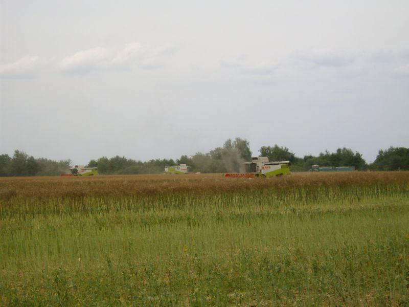 IMGP7018.jpg