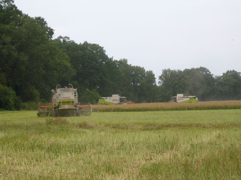 IMGP7027.jpg