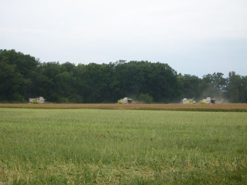 IMGP7028.jpg